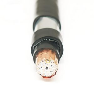 KVVP2-22